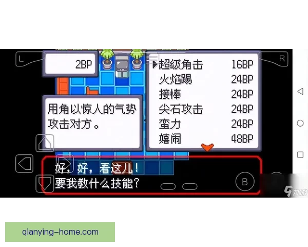 全方位解析体育竞猜平台玩法策略与投资技巧